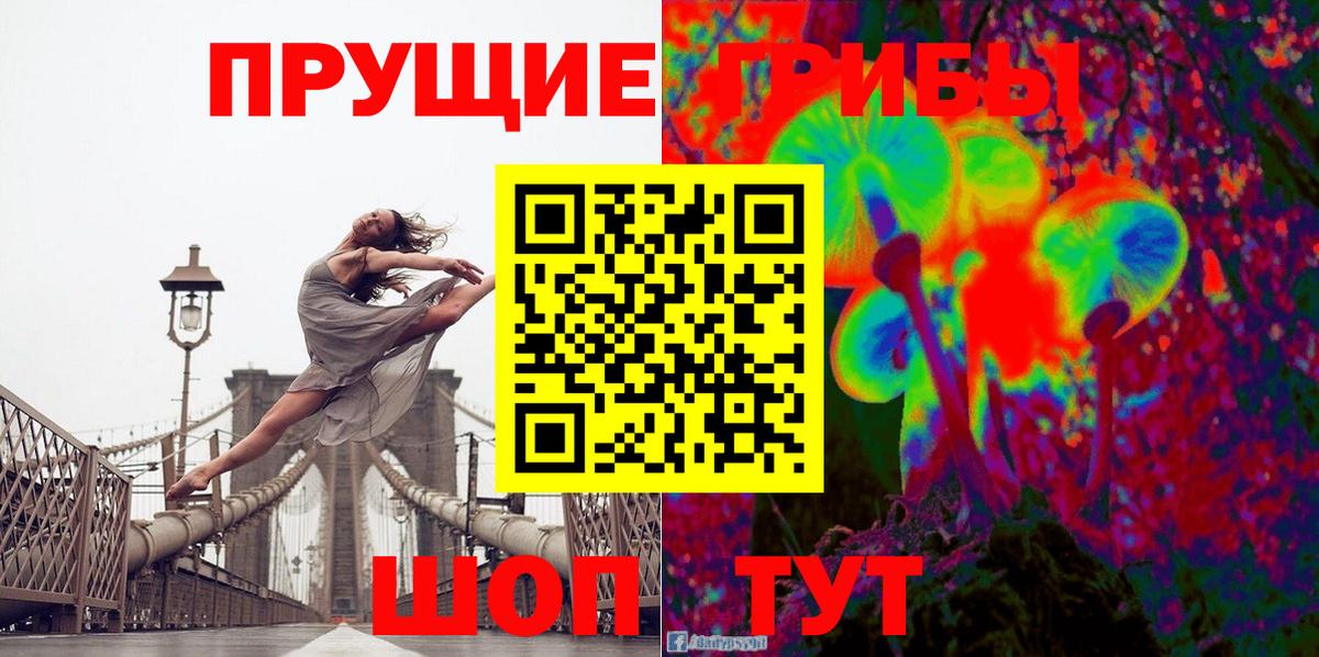 Каменск-Уральский  как найти закладки  Вход с VPN  Галлюциногенные грибы прущие грибы 