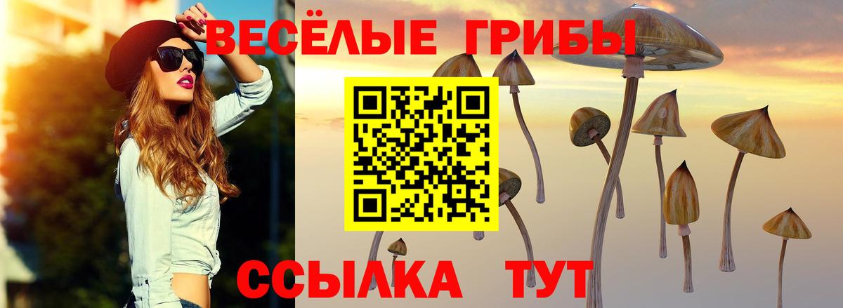 Псилоцибиновые грибы MAGIC MUSHROOMS Каменск-Уральский